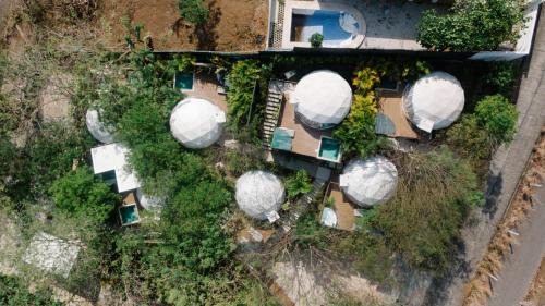 Playa Ocotal Other | Glamping Tortuga Verde