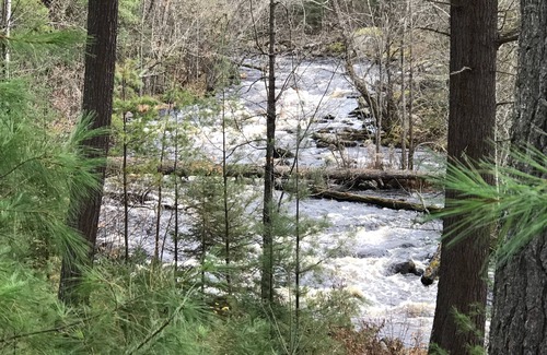 Rainy River District Cabin | Gods Grace, Loon Lake in BWCA Minnesota, Ontario Border Waters