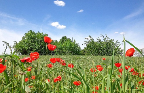 Cansano House | Good cottage with proximity to charming nature.