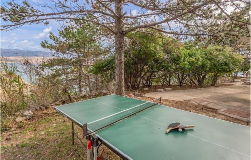 Bosana Apartment | Gorgeous Apartment In Novalja