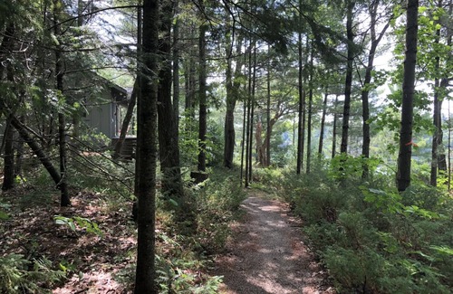 Gravenhurst House | Gorgeous Renovated Lake Cottage! 300ft lake frontage