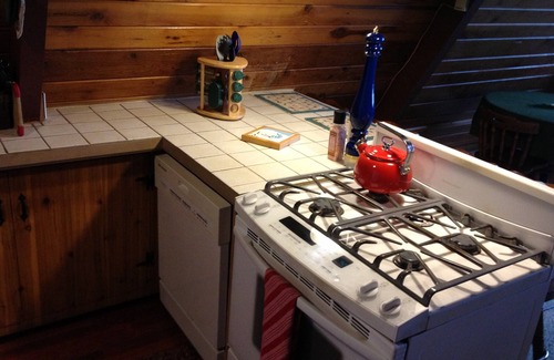Government Camp Cabin | Govy A Frame w/Hot Tub.
