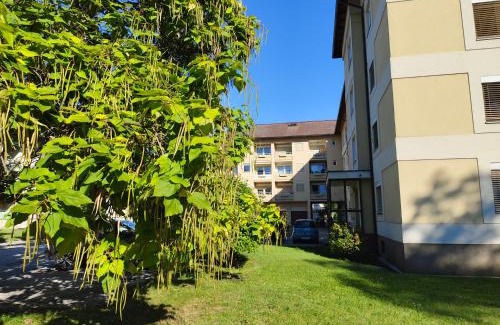 Klagenfurt am Woerthersee Apartment | Grünerbalkon Ferienappartement