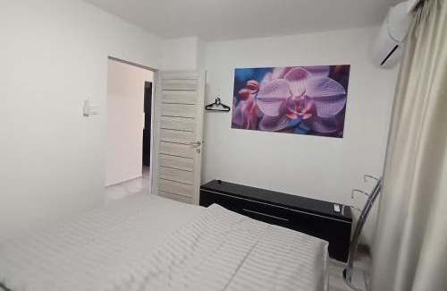 Zsorifurdo House | Grand Alba apartman Mezőkövesd Zsóry