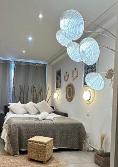 Carnot Apartment | Grand Studio Cosy Cannes Centre