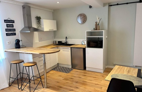 Labruguiere Apartment | Grand Studio Rénové au Cœur de Labruguiere Équipé de la Fibre