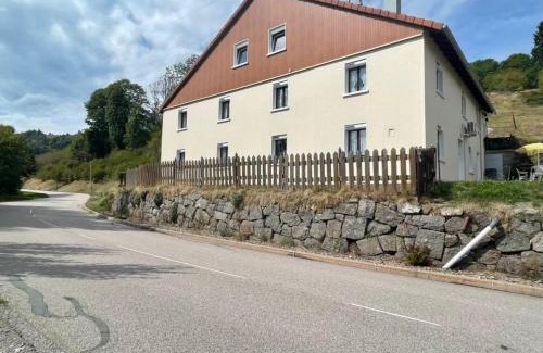 Travexin House | Grande maison à à Bresse avec jacuzzi cheminée et jardin Idéal pour les familles et amis