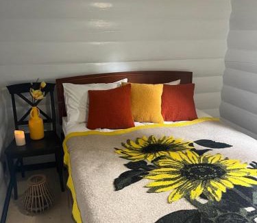 Soymy Cabin | Gray House