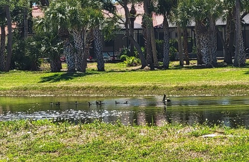 Iona House | Great location. Near beaches, shopping, restaurants.