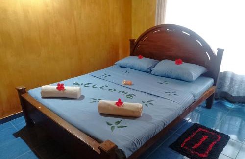 Habarana Hotel | Green Gray Habarana