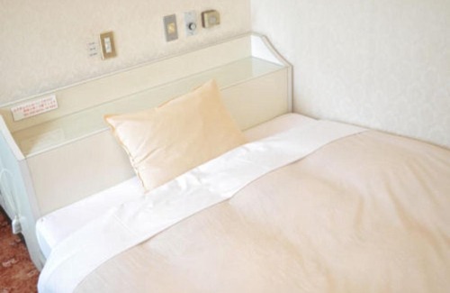 Okazaki Hotel | Green Hotel Rich Tokugawaen - Vacation STAY 02759v