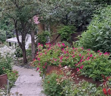Sighnaghi House | Green House - მწვანე სახლი