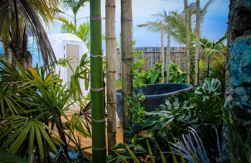 Sabaneta de Yasica RV Rental | Green Land Bubble Glamping