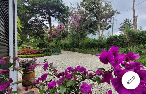 El Carmen de Viboral House | Green Paradise