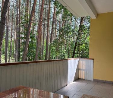 Obolons'kyi District Apartment | GREENMIST apartaments