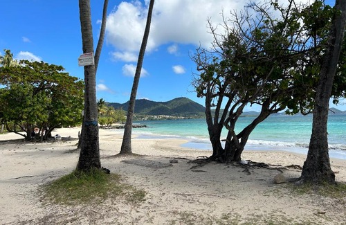 Gros Raisins Apartment | Grenade Studio les pieds dans l'eau et vue mer Caraïbes dans une magnifique résidence de vacances