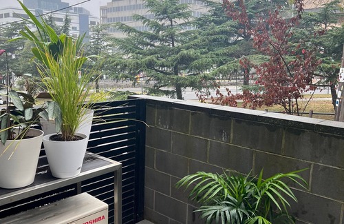 Heidelberg Apartment | Ground Floor Apartment Close to Hospitals Centre of Heidelberg