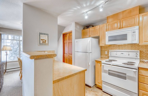 Village North Condo | Ground-floor condo with fireplace & patio - walk or shuttle to ski lifts