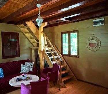 Banja Koviljaca House | Gučevska Idila