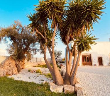 Monopoli Bed & Breakfast | Guardian's House