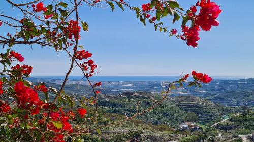 Benamargosa Ski Chalet | Guest house in the countryside