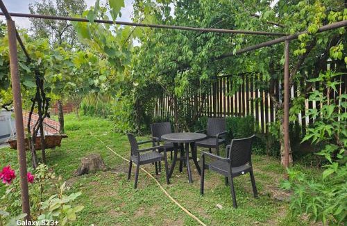 Lagodekhi Apartment | Guest house T/S in Lagodekhi/khizabavra
