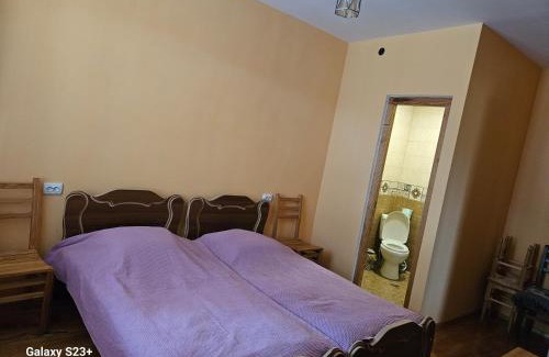 Lagodekhi Apartment | Guest house T/S in Lagodekhi/khizabavra
