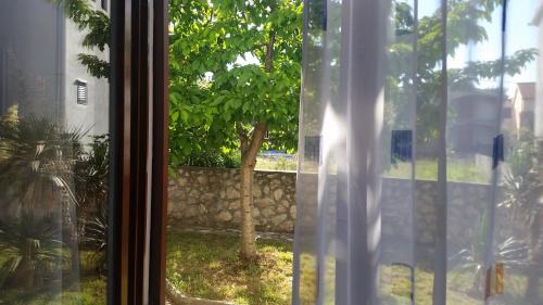 Seline House | Guesthouse Neven Paklenica