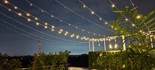 Udyog Vihar Apartment | Gurgaon 21 Tonic & Twinkle