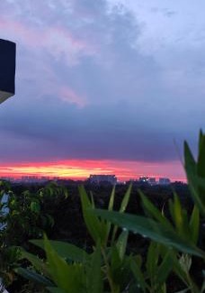 Udyog Vihar Apartment | Gurgaon 21 Tonic & Twinkle