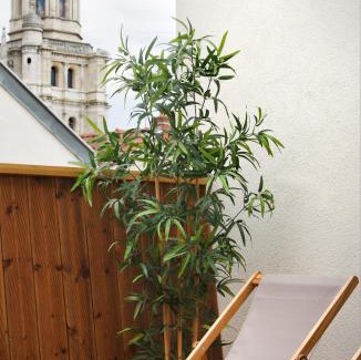 Dijon Centre Ville Hotel | Hôtel des Ducs