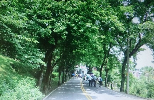 Xindian Apartment | H 大套房) 免費接送免費停車 在市郊非山區空氣新鮮 充滿芬多精的舒服 接近烏來有院子新店捷運站免費接送. (訂房申請需要經房東同意.