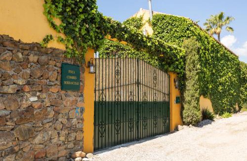 New Golden Mile House | Hanami Finca Cumbres Borrascosas