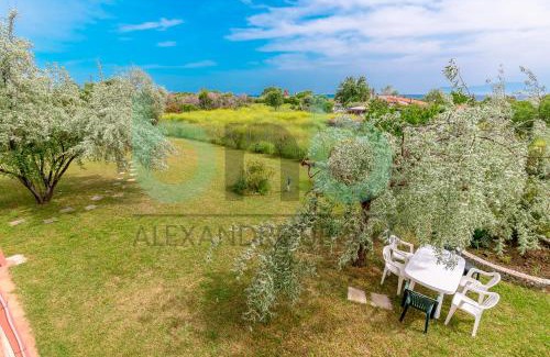 Alexandroupoli House | Harmony Hideaway
