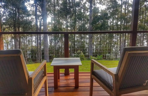 Hastings House | Hastings Bay Retreat – Idyllic Forest Hideaway!