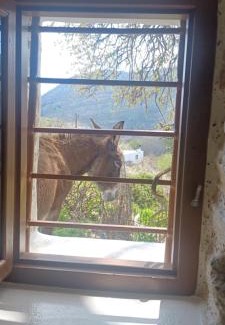 Aperathos House | Hatzanario Apeiranthos