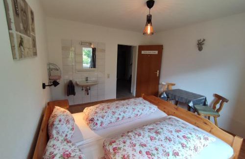 Wenns Apartment | Haus AlpenHahn