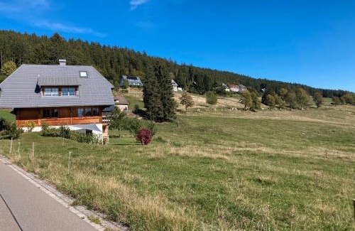 Saig Apartment | Haus Doktor Saeltzer