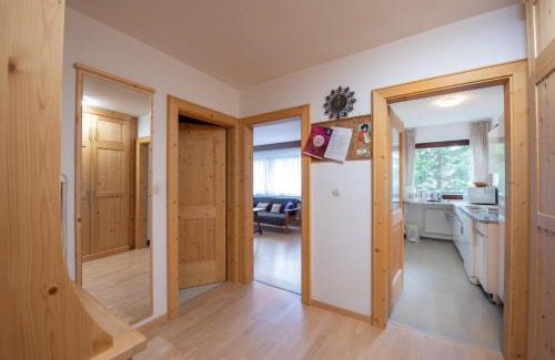 Hochkrimml Apartment | Haus Elisabeth Top 106