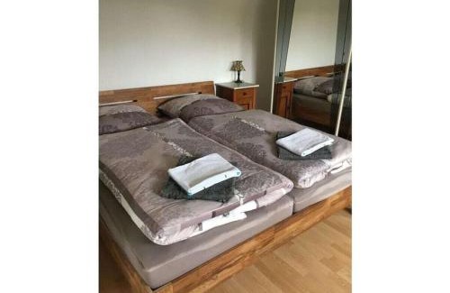 Bad Grund House | Haus FeLiSi Comfortable holiday residence