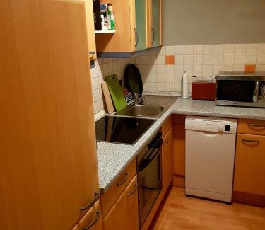 Hochkrimml Apartment | Haus Filzstein 117 Top