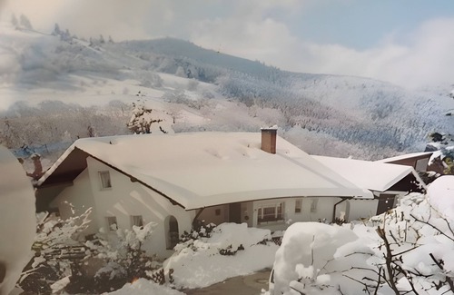 Untermunstertal Apartment | Haus Palais with Covered Balcony, Mountain View, and Wi-Fi