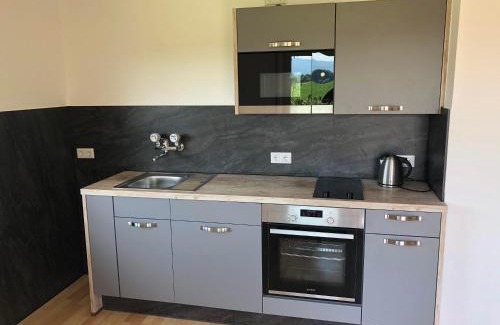 Achern Apartment | Haus Schwarzwaldblick