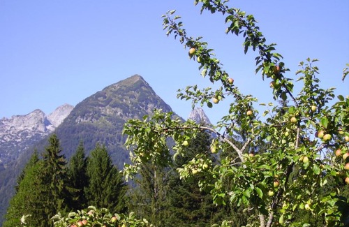 Annaberg im Lammertal Apartment | Haus Unterdieterer