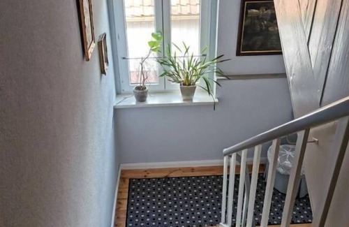 Huttenrode House | Haus Waldliebe Modern retreat