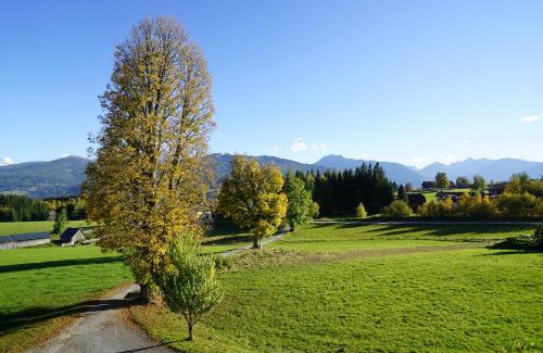 Ramsau am Dachstein Apartment | Haus Waltraut