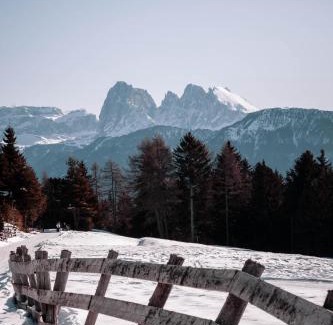 Albions Apartment | HAUSERHOF Farmhouse Escape & Dolomiten View