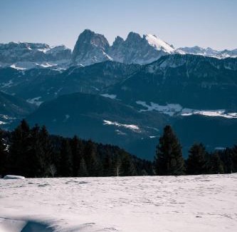 Albions Apartment | HAUSERHOF Farmhouse Escape & Dolomiten View