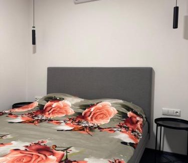 Liberty Avenue Apartment | Heart of Kaunas - Cozy Loft with Wi-Fi