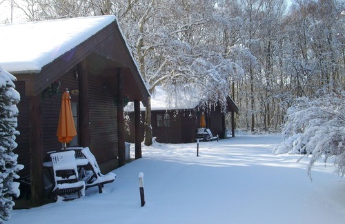 Ashford House | Heated Indoor Pool 2 bedroom lodge sleeps 4 set in 5acres of beautiful Woodland